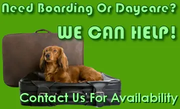 Bayshore Pet Grooming & Boarding