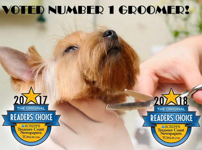 Bayshore Pet Grooming & Boarding