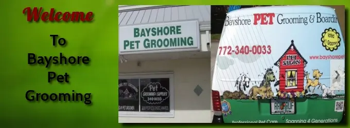 Bayshore Pet Grooming & Boarding