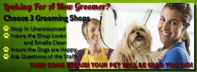 Bayshore Pet Grooming & Boarding